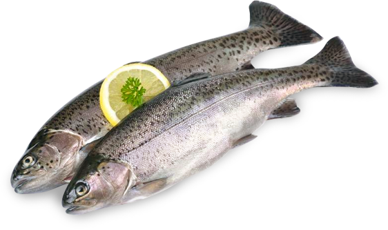 ALABALIK
